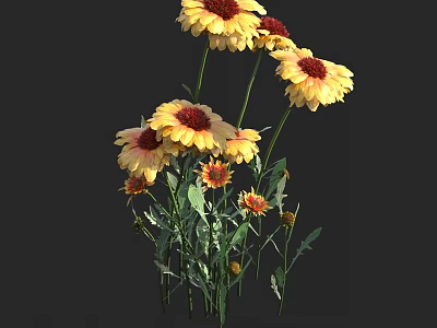 Yellow and Red Blooming Flowers with Green Stems and Leaves 3d model