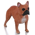 Bulldog Pet Dog 3d model