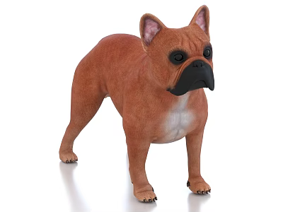 Brown French Bulldog Standing With Black Nose And White Chest Fur Details 3d model