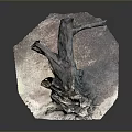 Wooden Stone Sculpture With Natural Tree Root Texture And Solid Base