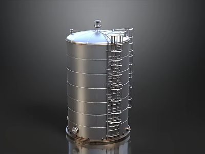 Silver Cylindrical Industrial Storage Tank With Metal Ladder And Top Structure 3d model