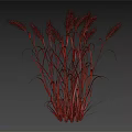 3D Rendered Golden Wheat Plant With Multiple Ears On Dark Background