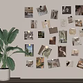 Decorative Photo Wall With Various Photos And Cards Near A Large Green Plant