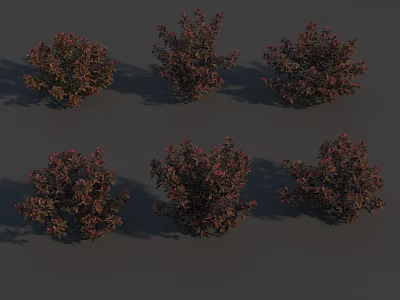 Six Shrubs with Red and Green Foliage Against Gray Background with Shadows 3d model