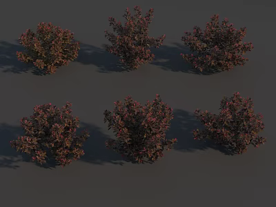 Shrub plant red shrub tree 3d model