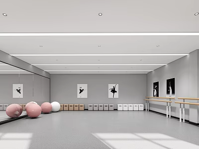 Fitness Dance Studio With Large Mirrors Pink White Exercise Balls Barres And Storage Lockers 3d model