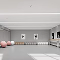Fitness Dance Studio With Large Mirrors Pink White Exercise Balls Barres And Storage Lockers