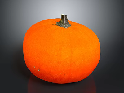 Fresh Ripe Orange Whole Pumpkin Healthy Vegetable For Cooking And Diet 3d model