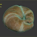 Freshly Baked Golden Croissant With Flaky Layers And Buttery Texture On Dark Background