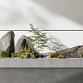 Tranquil Indoor Landscape With Natural Stones Green Plants And Moss On Gray Base