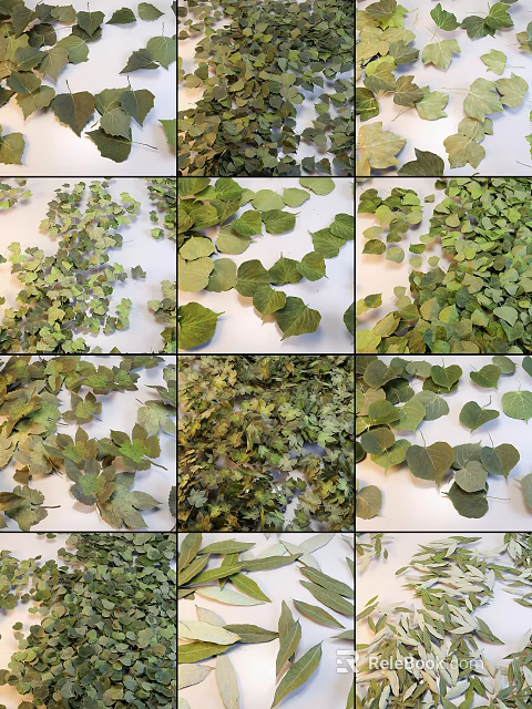 Natural Green Leaf Decorative Pieces For Garden Ornaments And Landscaping 3d model 