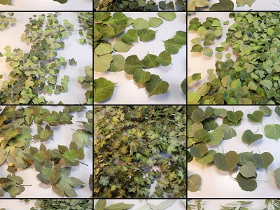 Natural Green Leaf Decorative Pieces For Garden Ornaments And Landscaping 3d model