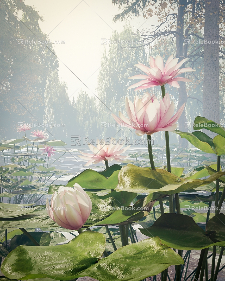 Lotus water lily scene 3d model