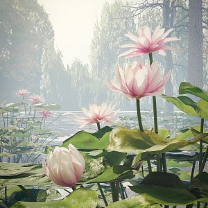 Lotus water lily scene 3d model