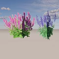 Purple And Blue Garden Flowers With Lush Green Leaves And Vibrant Petals