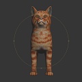 Modern Cat Yellow Cat Kitten Flower Cat Domestic Cat 3d model