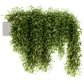 Lush Green Hanging Vines Decorative Plants With Wall Mounted Planter Stand