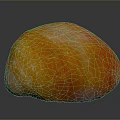 Detailed Scientific Illustration of Organs and Hair Structures in Human Body