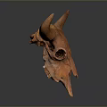 Brown Animal Skull With Large Curved Horns On Reflective Gray Gradient Background