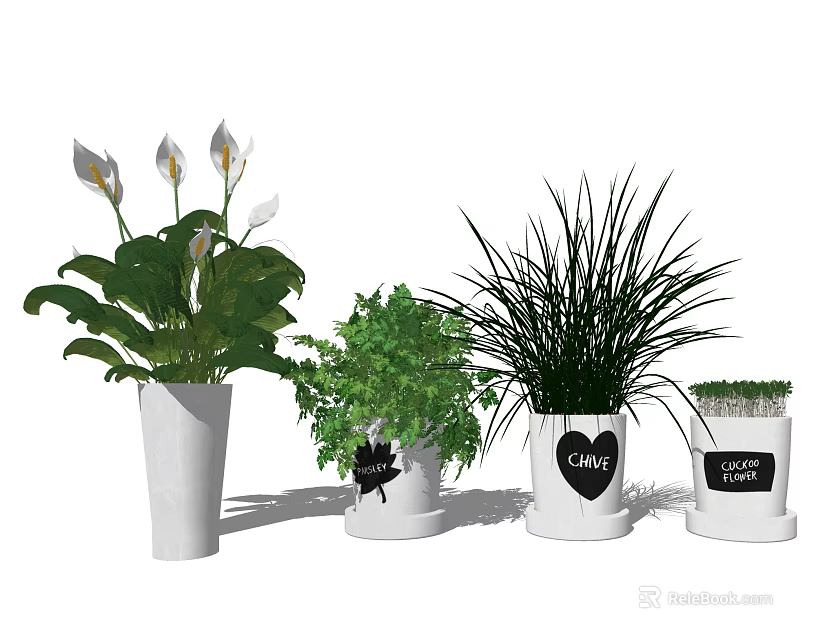 Variety of Indoor Potted Plants in Decorative White Pots with Love Design and Cat Pattern 3d model 