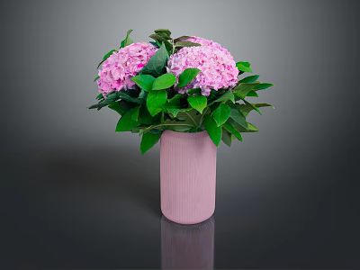 Pink Hydrangeas with Fresh Green Leaves in a Pink Vase on Dark Surface 3d model