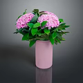 Pink Hydrangeas with Fresh Green Leaves in a Pink Vase on Dark Surface
