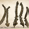 Artistic Stone Spine Shaped Garden Ornaments For Outdoor Decorative