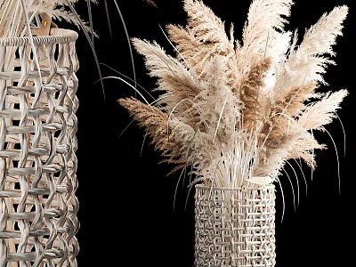 Woven Vase With Dried Pampas Grass In Natural Tones On Black Background 3d model