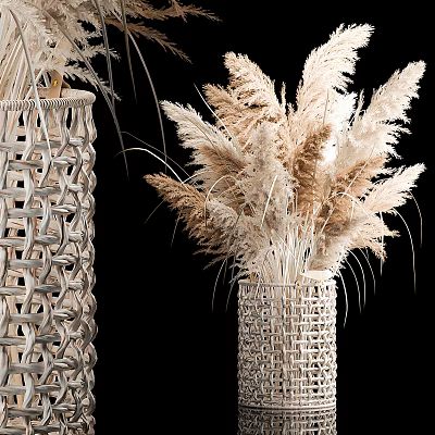 Woven Vase With Dried Pampas Grass In Natural Tones On Black Background 3d model