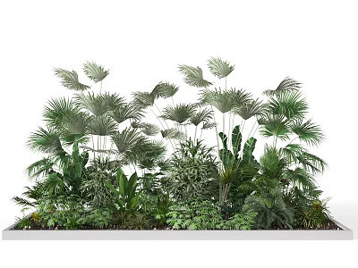 Lush Green Tropical Leafy Plants Arrangement In Rectangular Planter Box With Foliage 3d model