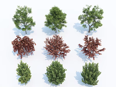 Various Arbor Varieties with Green and Red Foliage in Different Shapes and Sizes 3d model