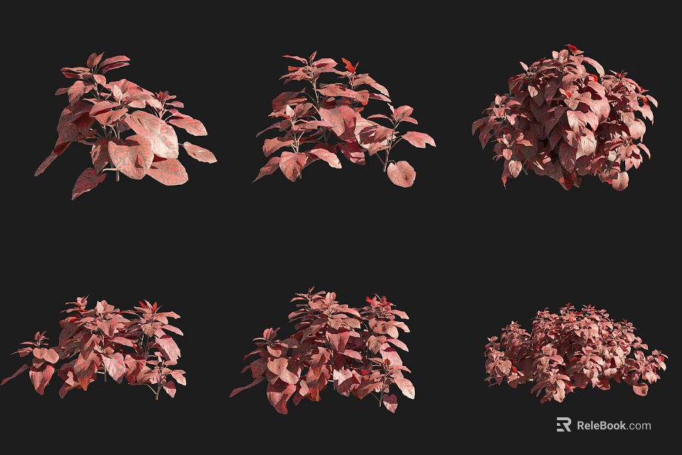 Red Foliage Shrubs in Various Natural Growth Forms and Diverse Shapes 3d model 
