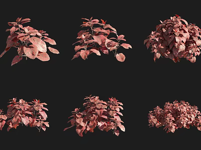 Red Foliage Shrubs in Various Natural Growth Forms and Diverse Shapes 3d model