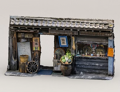 Scan Street View 3d model