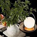 Elegant Decorative Ornament Set with Green Plant Vase Stacked Books and Fruit Bowl