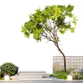 Courtyard landscape oblique floating tree modeling tree hollow brick landscape wall stone steps micro terrain 3d model