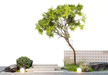 Courtyard landscape oblique floating tree modeling tree hollow brick landscape wall stone steps micro terrain 3d model