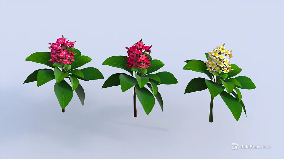 Colorful Tropical Flowers In Pink Red And Yellow With Green Leaves On Blue Background 3d model 