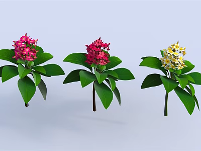 Colorful Tropical Flowers In Pink Red And Yellow With Green Leaves On Blue Background 3d model