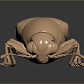 Modern Beetle Golden Flower Beetle Beetle Scarab 3d model