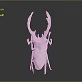 White Horned Beetle Sculpture With Detailed Texture And Shiny Surface On Gray Background