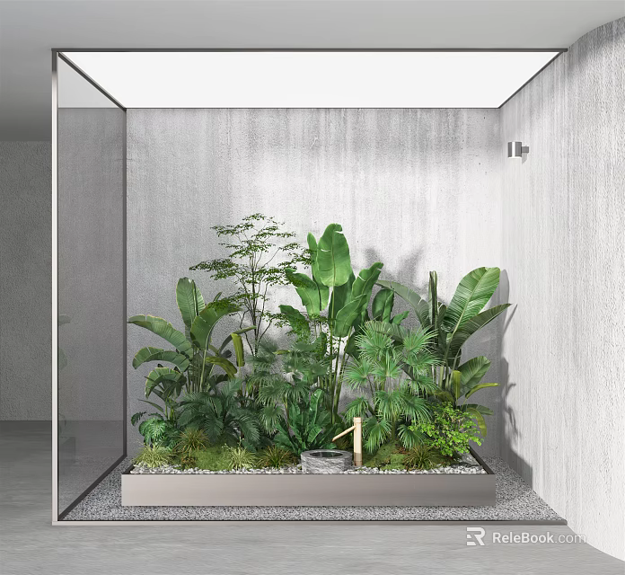 Lush Indoor Green Plants In Glass Container With Gray Wall And Stone Ground 3d model 