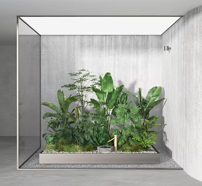 Lush Indoor Green Plants In Glass Container With Gray Wall And Stone Ground 3d model