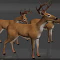 Three Lifelike Reptile 3D Models Standing on Gray Surface with Brown White Features