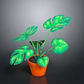 Vibrant Monstera Plant With Green Leaves In Orange Pot For Indoor Decor