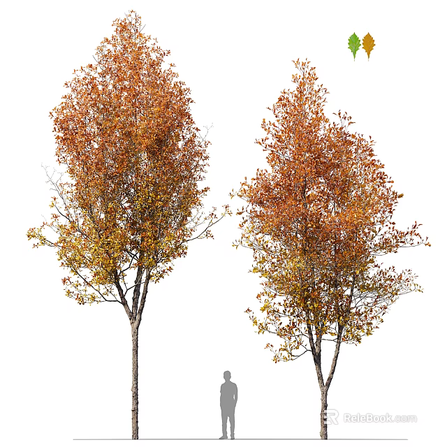 Two Tall Autumn Arbor Trees With Orange Yellow Leaves In Natural Outdoor Scene 3d model 