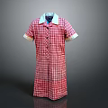 Red Plaid Short Sleeve Dress With White Collar And Light Cuffed Sleeves