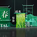 Spring Solar Terms Featuring Rain Water Awakening of Insects Spring Equinox Grain Rain Green Plants