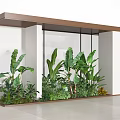 Indoor Landscape Interior With Lush Green Plants White Walls And Glass Partitions
