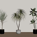 green plant potted floor plant 3d model